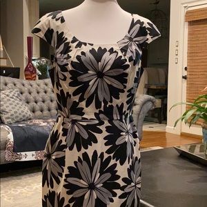 NWOT ADRIANNA PAPEL Women’s 12 Dress